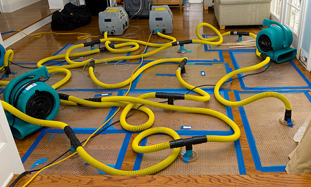 Professional Structural Drying And Dehumidification technician working in Crawfordsville, AR